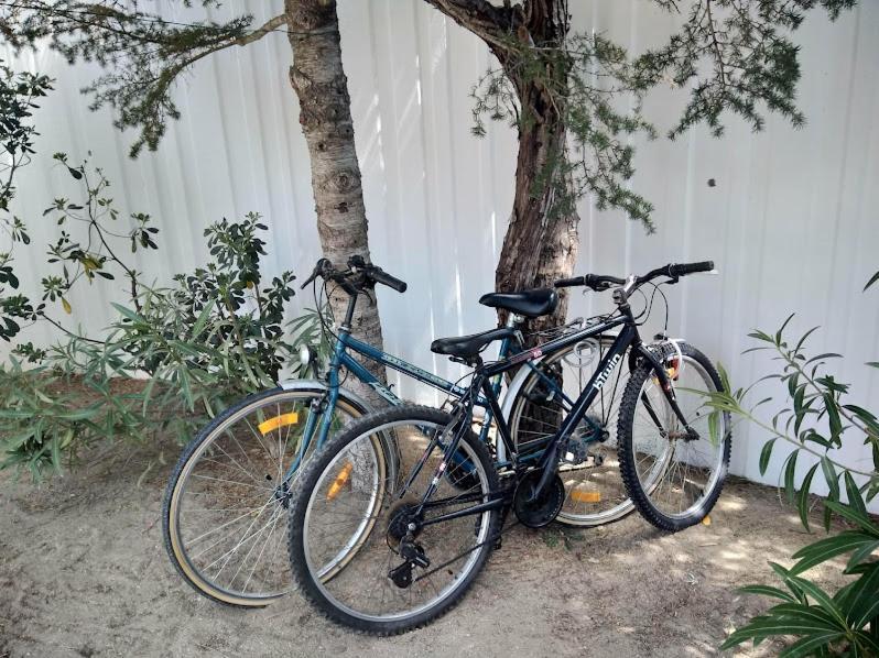 Maison Jardin Wifi - Climatisation - 100 M Plage Sauvage - 20 Min Perpignan Torreilles Εξωτερικό φωτογραφία